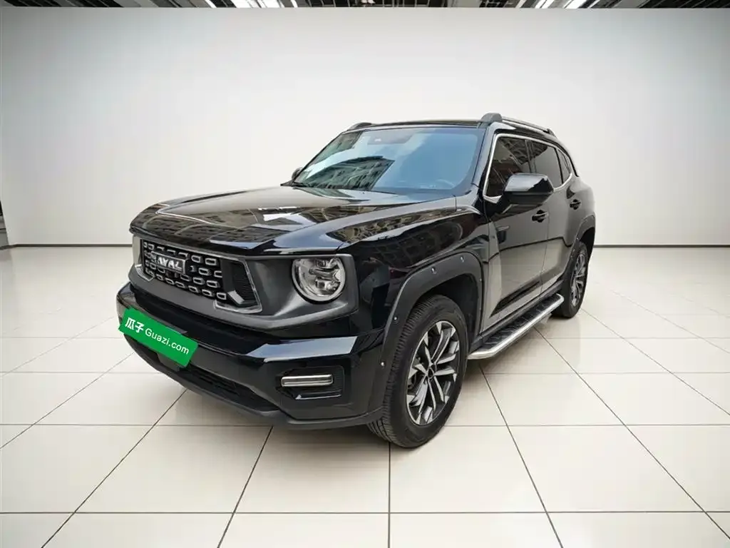 Haval H7 (Big Dog Plus) — фото 8