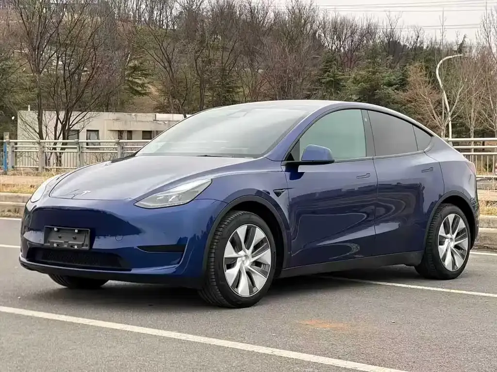 Tesla Model Y — фото 1