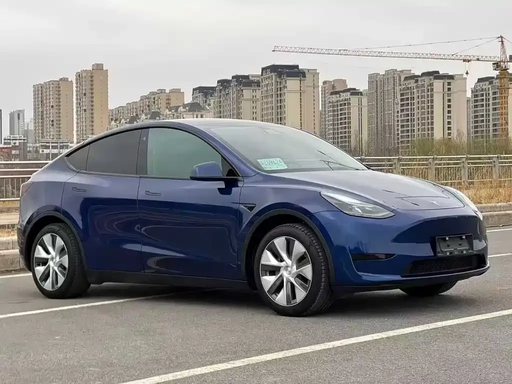 Tesla Model Y — фото 8