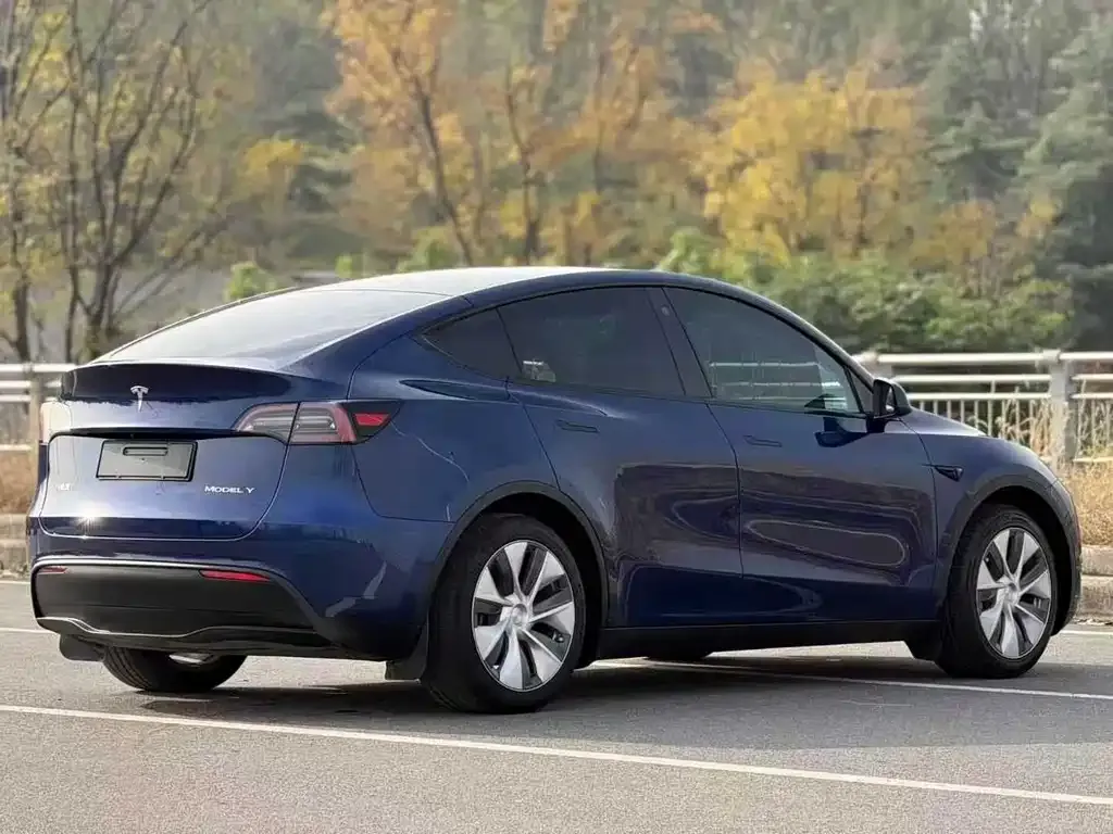 Tesla Model Y — фото 7
