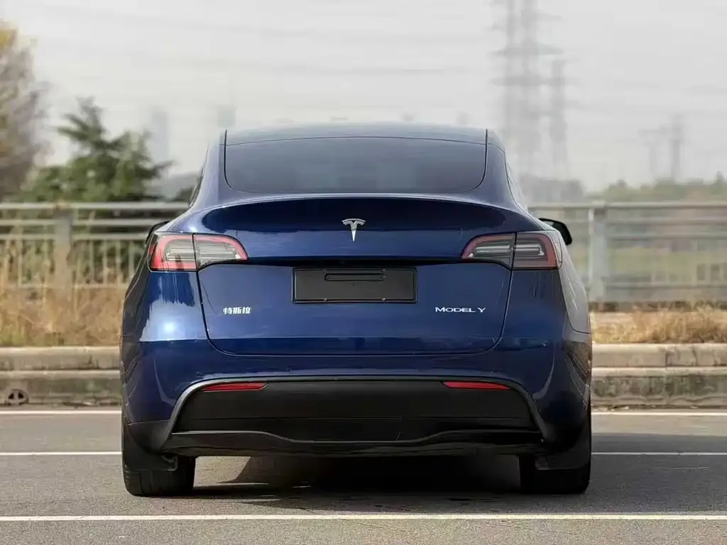 Tesla Model Y — фото 9