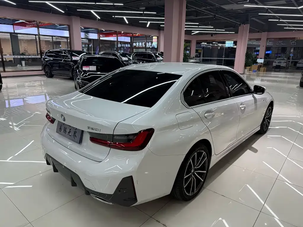 BMW 3 Series 2024 из CN, фото 5
