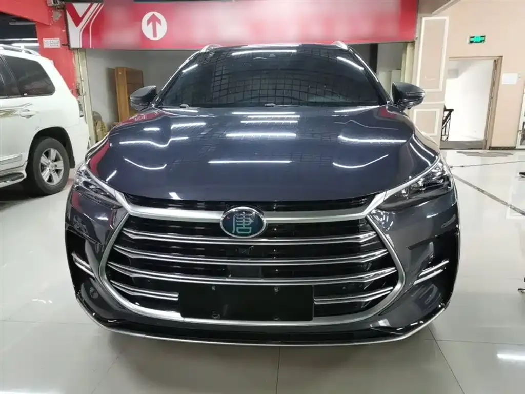 BYD Tang New Energy — фото 10