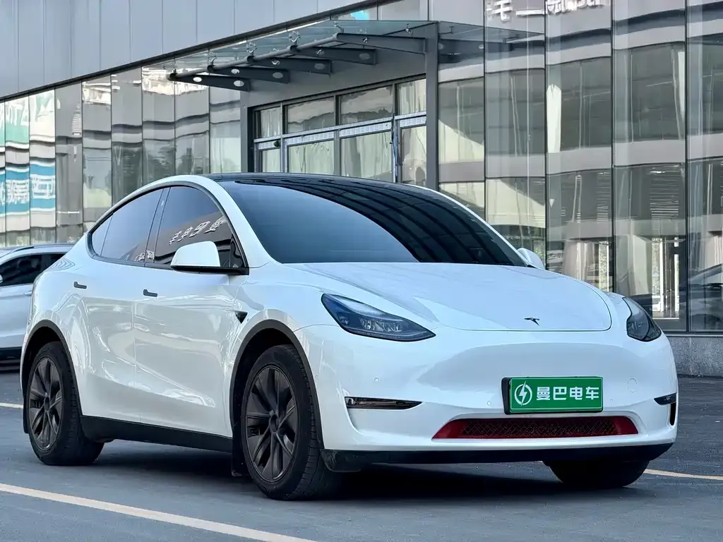 Tesla Model Y — фото 1
