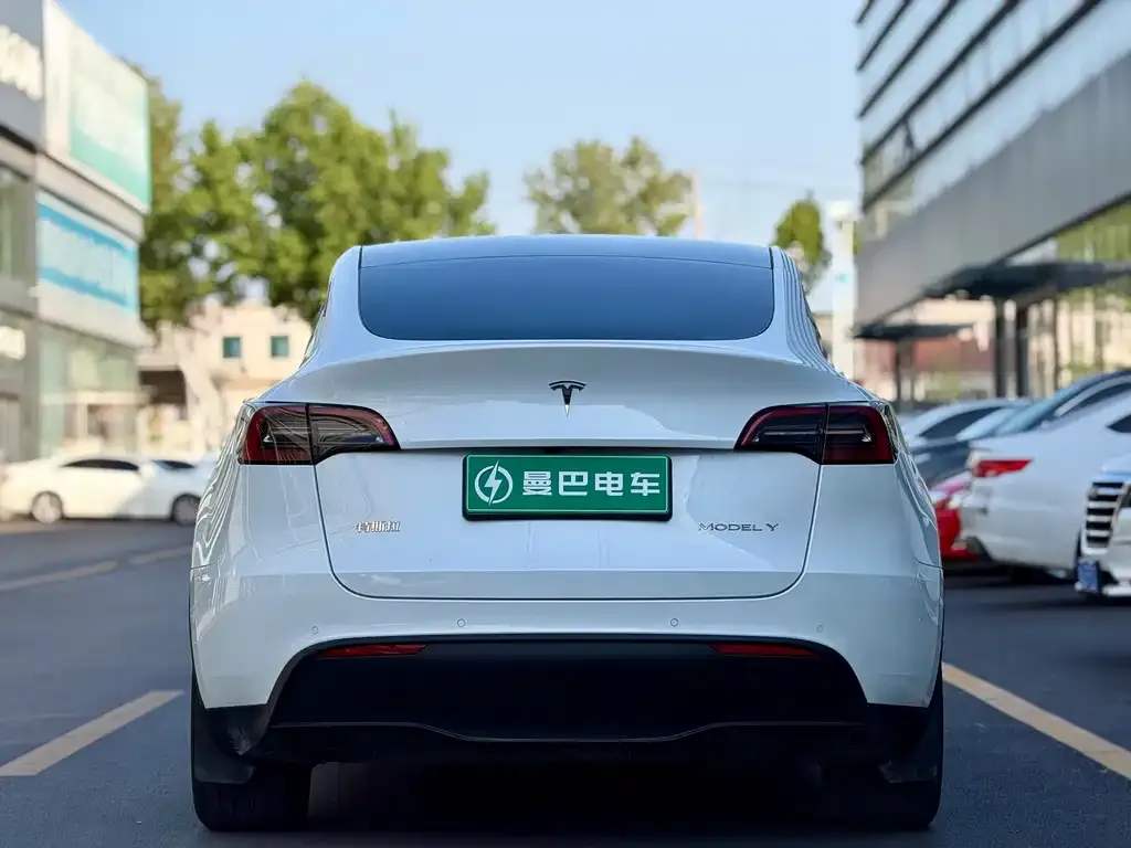 Tesla Model Y — фото 3
