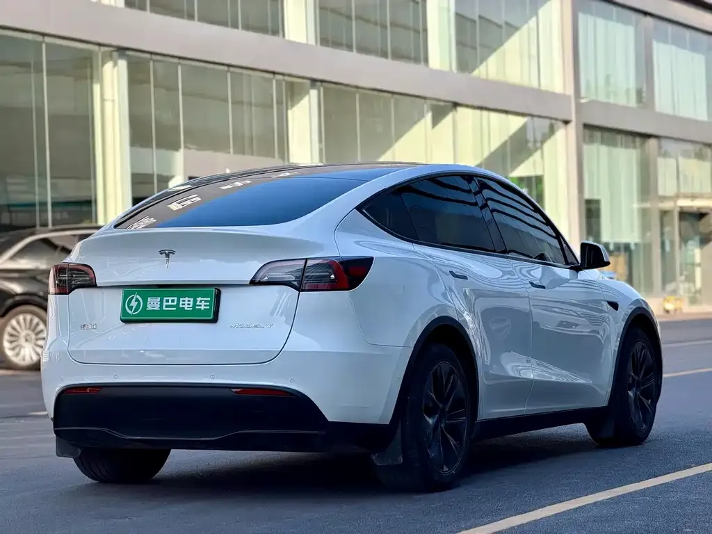 Tesla Model Y — фото 2
