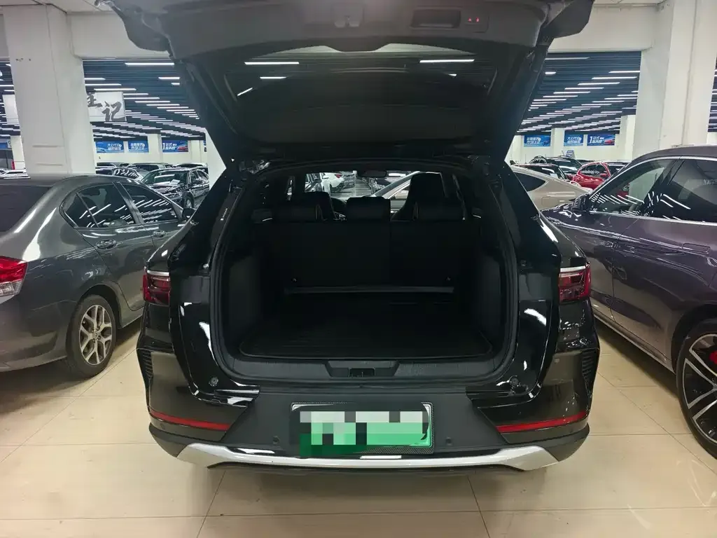 BYD PLUS New Energy — фото 4