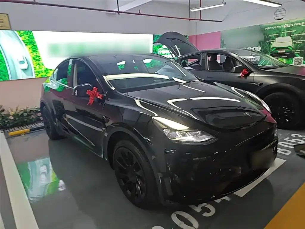 Tesla Model Y — фото 9