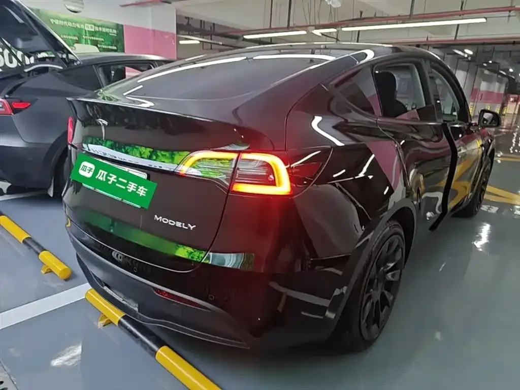 Tesla Model Y — фото 10