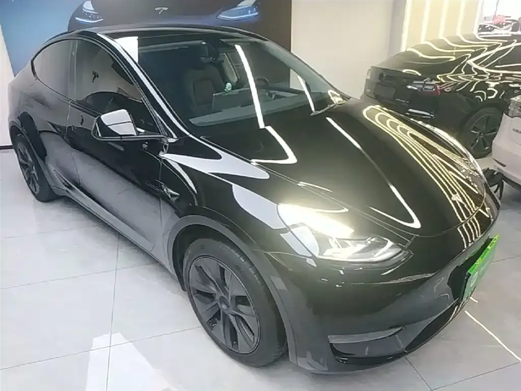 Tesla Model Y — фото 9