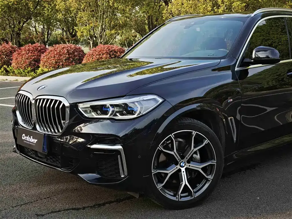 BMW X5 2022 из CN, фото 3