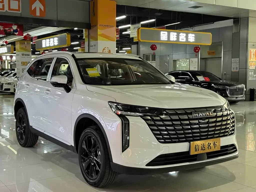 Haval H6 — фото 10
