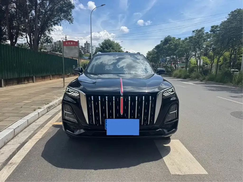 Hongqi HS5 2023 из CN, фото 9