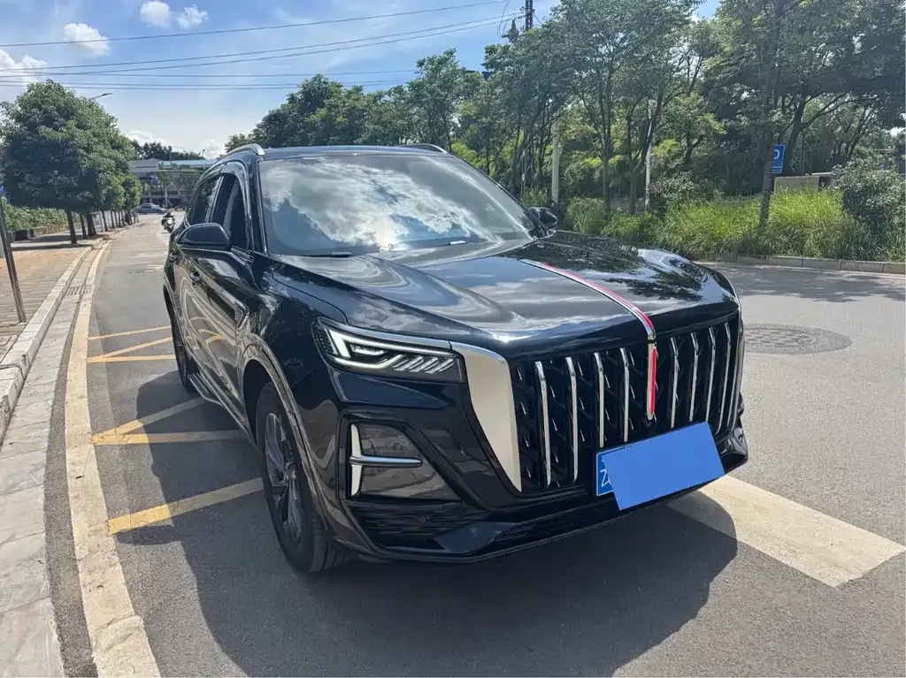Hongqi HS5 2023 из CN, фото 8