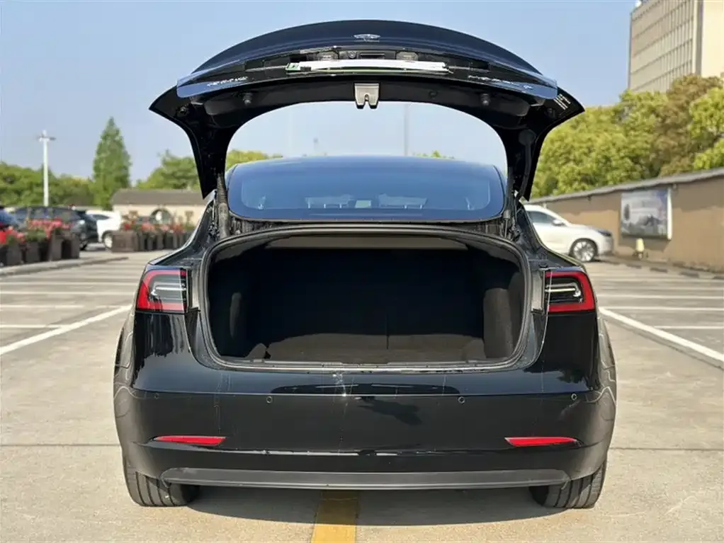 Tesla Model 3 2023 из CN, фото 4