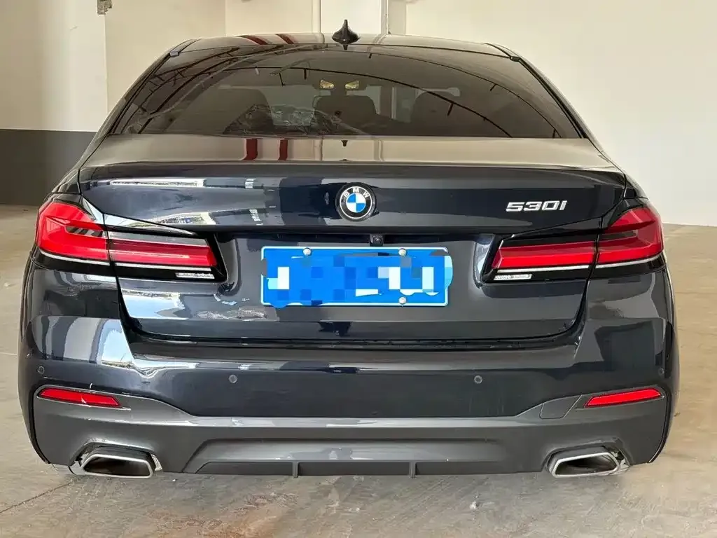 BMW 5 Series (Import) 2022 из CN, фото 3