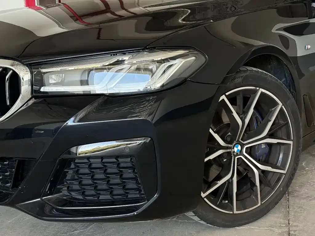 BMW 5 Series (Import) 2022 из CN, фото 5