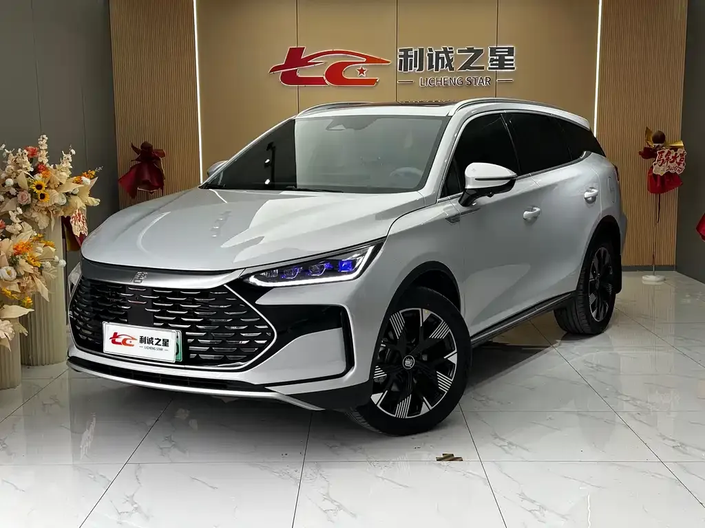 BYD Tang New Energy — фото 1