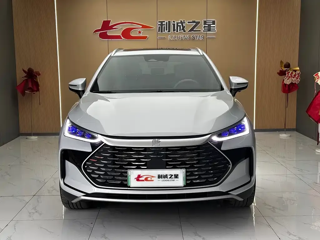 BYD Tang New Energy — фото 2
