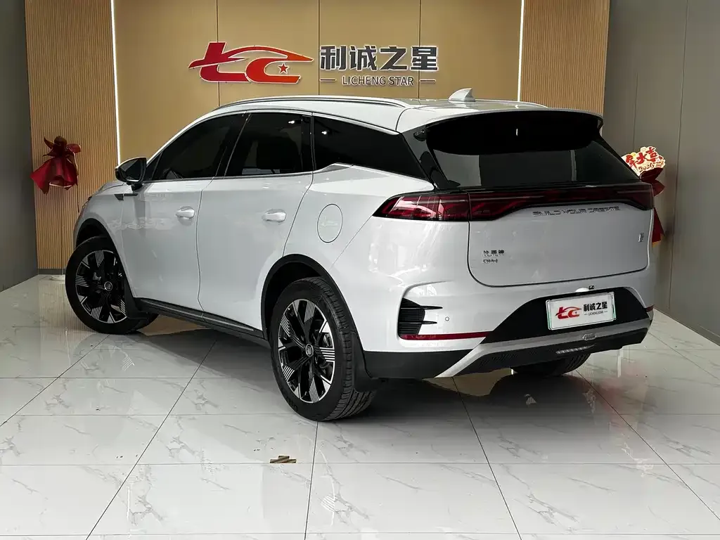 BYD Tang New Energy — фото 3