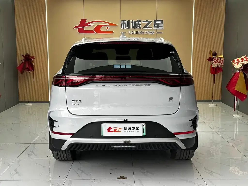 BYD Tang New Energy — фото 5