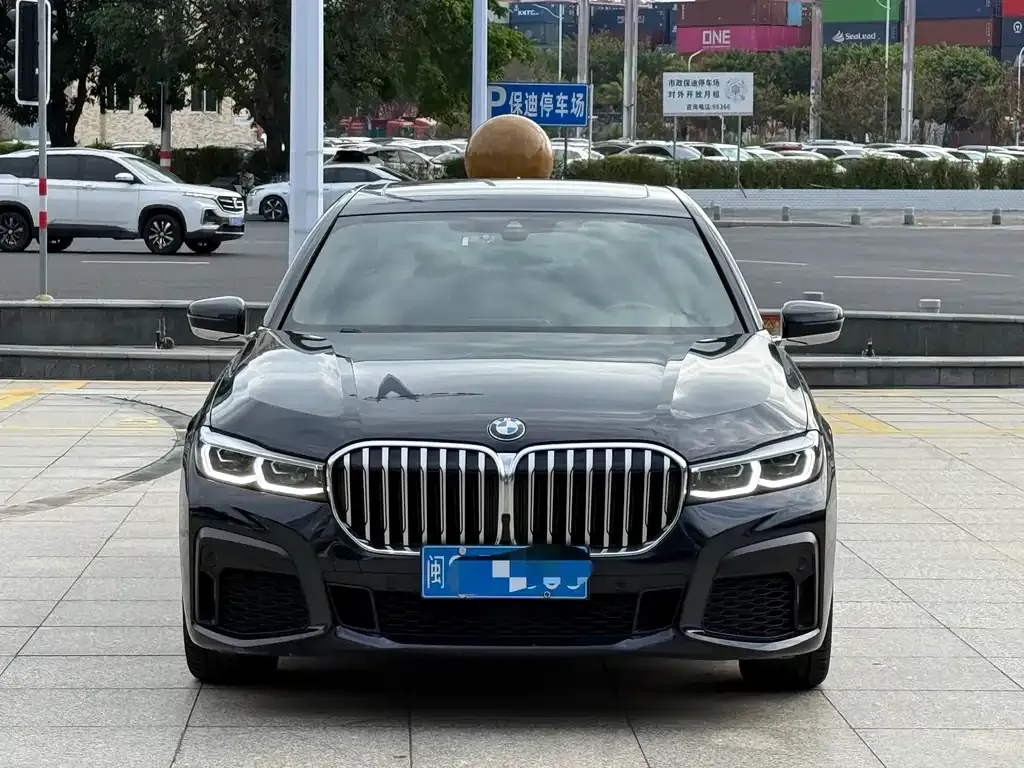 BMW 7 Series 2021 из CN, фото 9