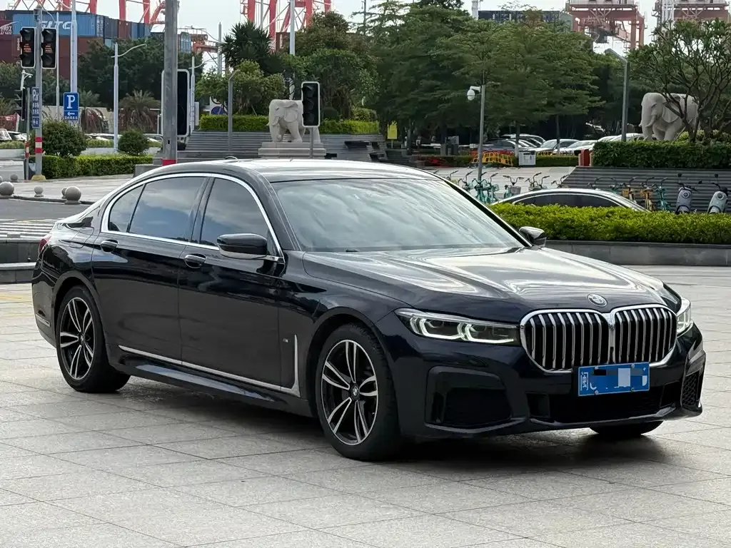 BMW 7 Series 2021 из CN, фото 8