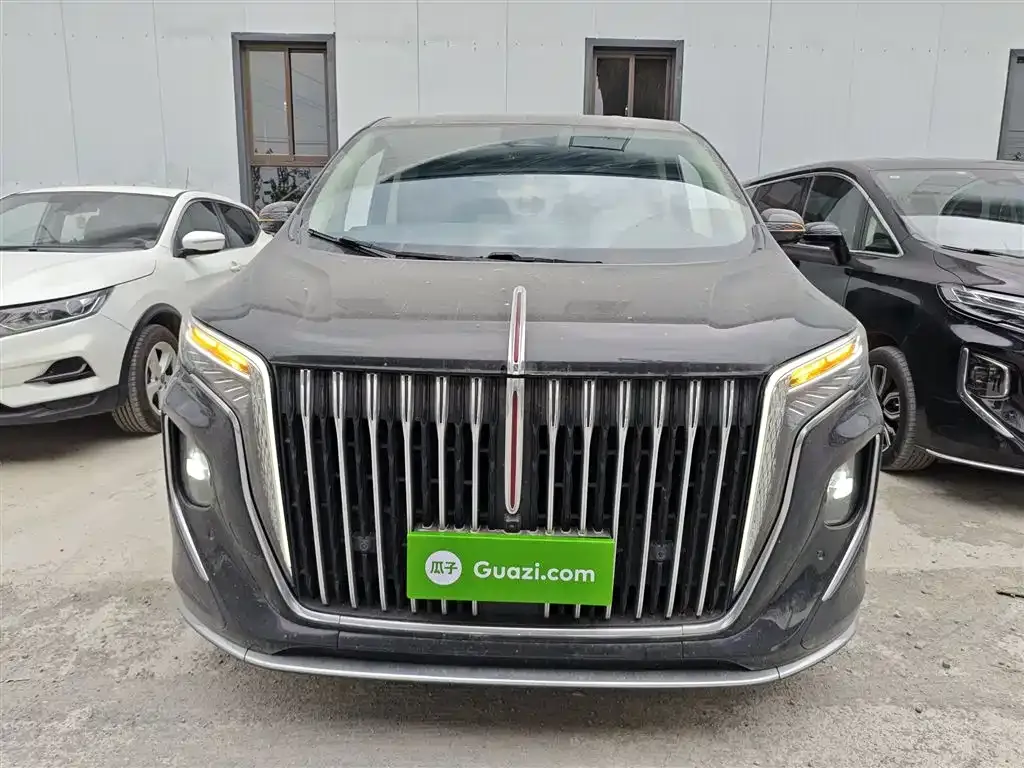 Hongqi HQ9 2023 из CN, фото 8