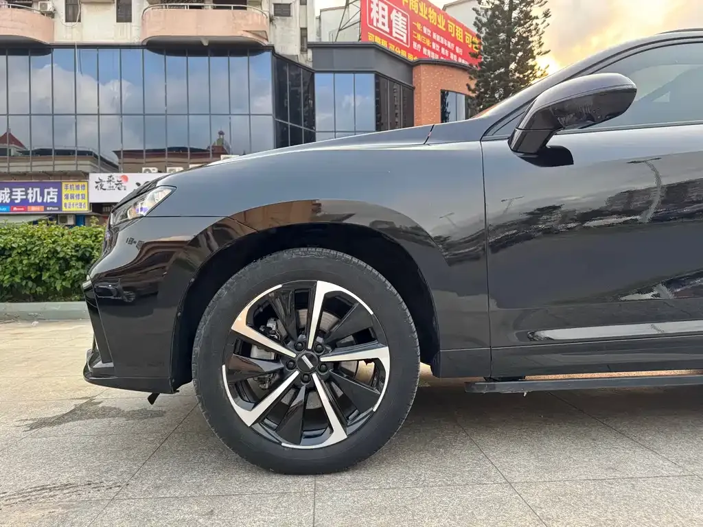 Wey VV7 GT 2021 из CN, фото 10