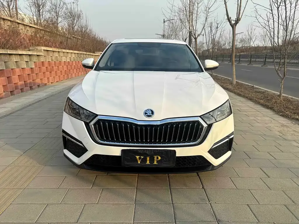 Skoda Octavia 2022 из CN, фото 6
