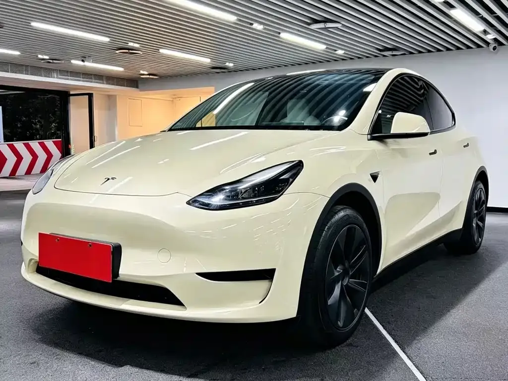 Tesla Model Y — фото 1