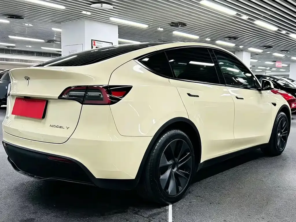 Tesla Model Y — фото 9
