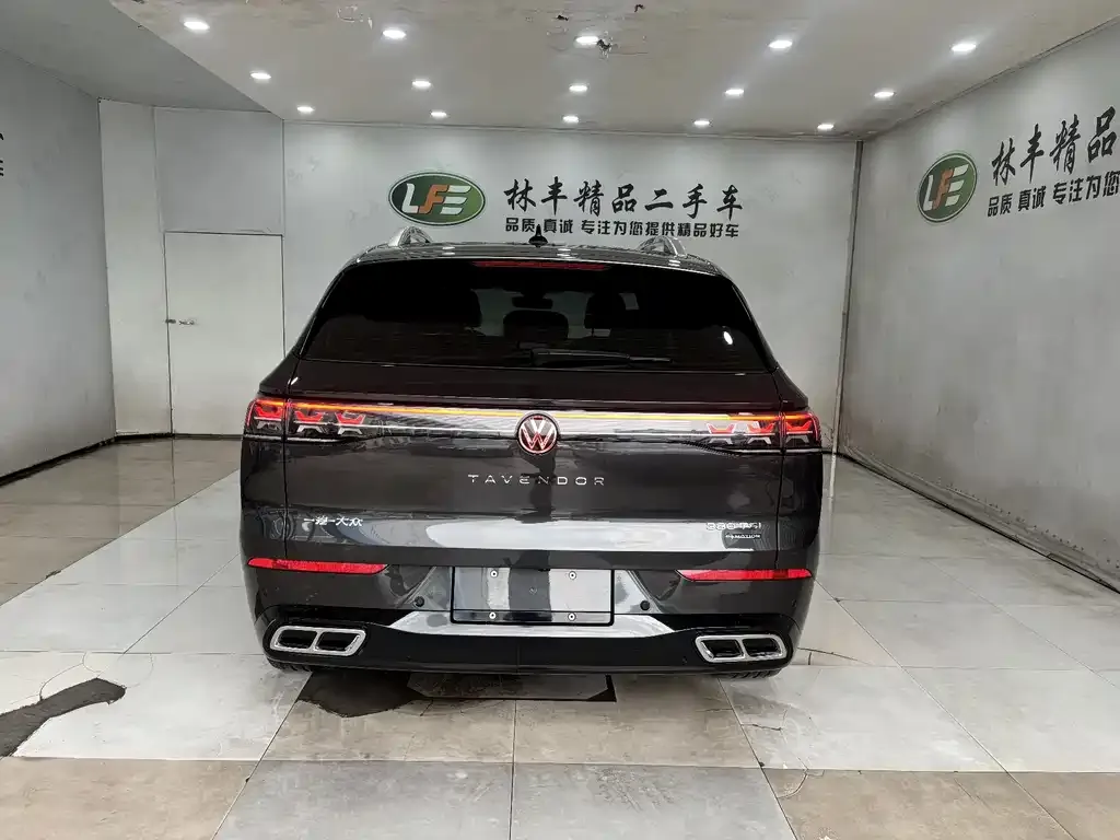 Volkswagen Tavendor 2023 из CN, фото 3
