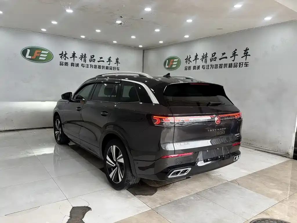 Volkswagen Tavendor 2023 из CN, фото 9