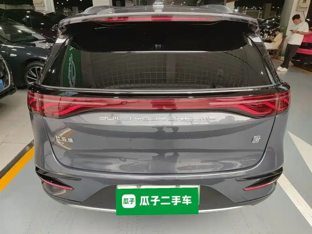 BYD Tang New Energy 2023 из CN, фото 2
