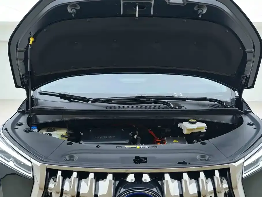 GAC Motor Trumpchi E9 2024 из CN, фото 9