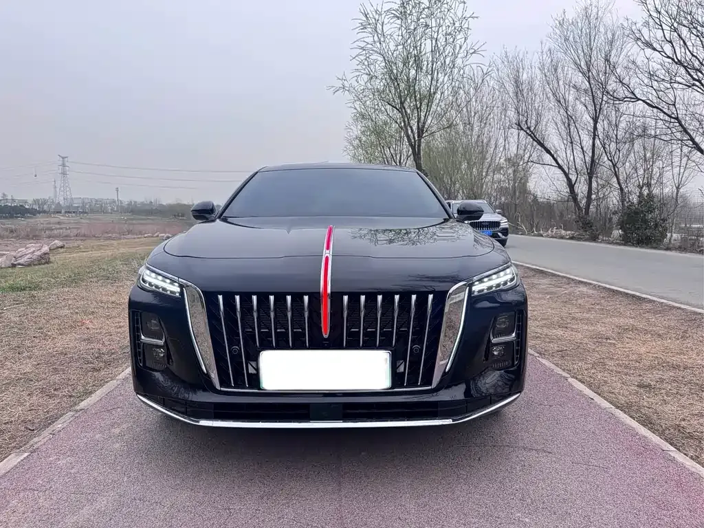 Hongqi H5 PHEV 2025 из CN, фото 9