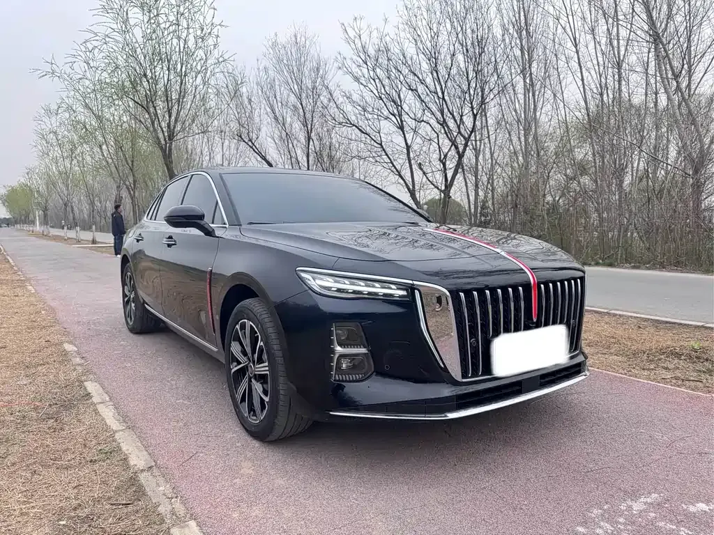 Hongqi H5 PHEV 2025 из CN, фото 8