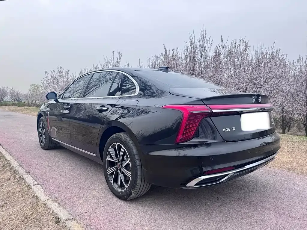 Hongqi H5 PHEV 2025 из CN, фото 4