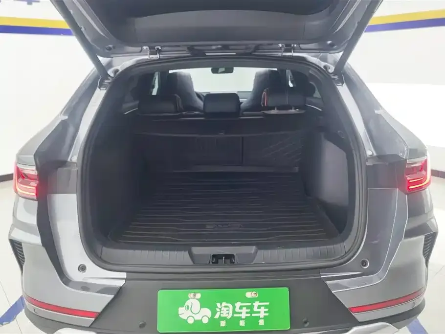 BYD PLUS New Energy — фото 10