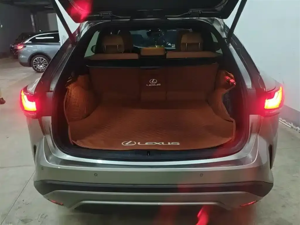 Lexus RX — фото 9
