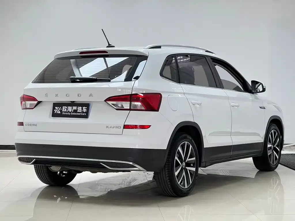 Skoda Kamiq — фото 4