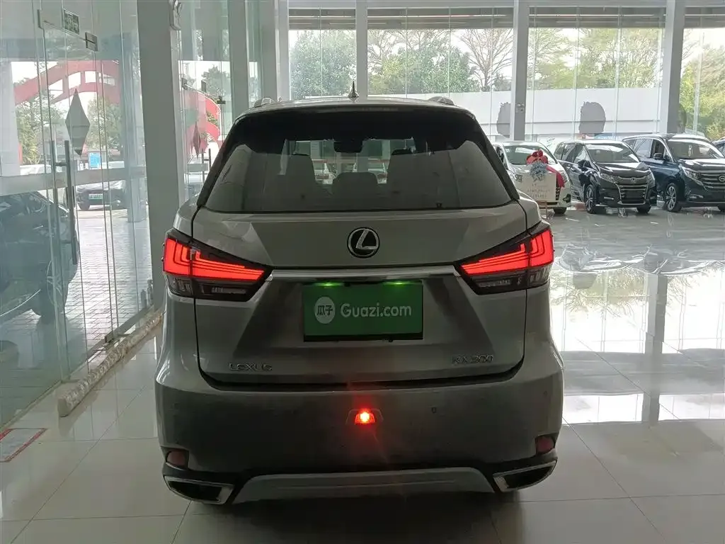 Lexus RX 2022 из CN, фото 7