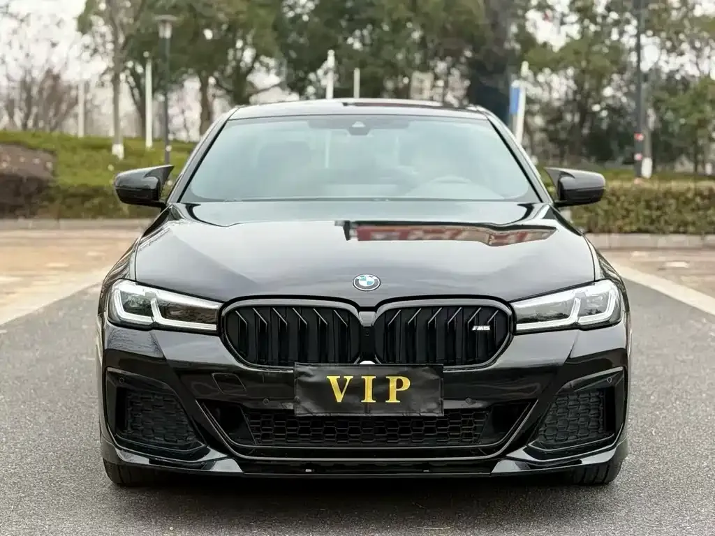 BMW 5 Series 2021 из CN, фото 7