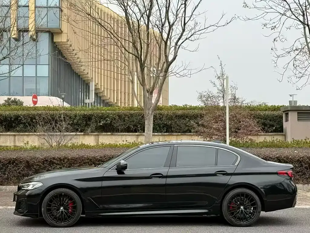 BMW 5 Series 2021 из CN, фото 9