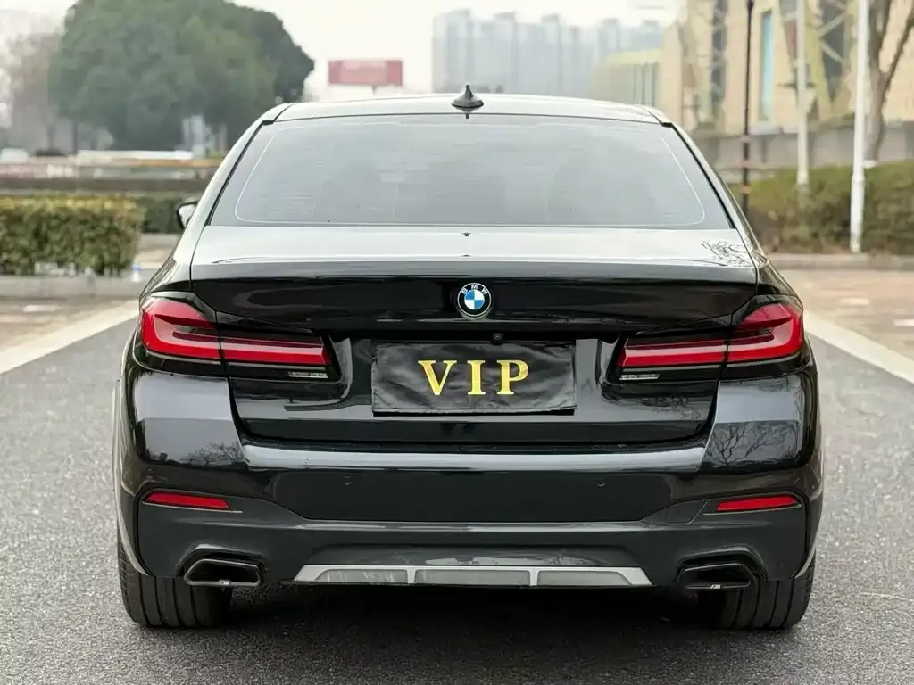 BMW 5 Series 2021 из CN, фото 6