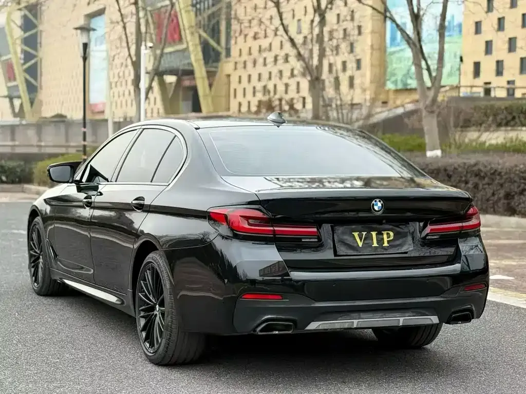 BMW 5 Series 2021 из CN, фото 4