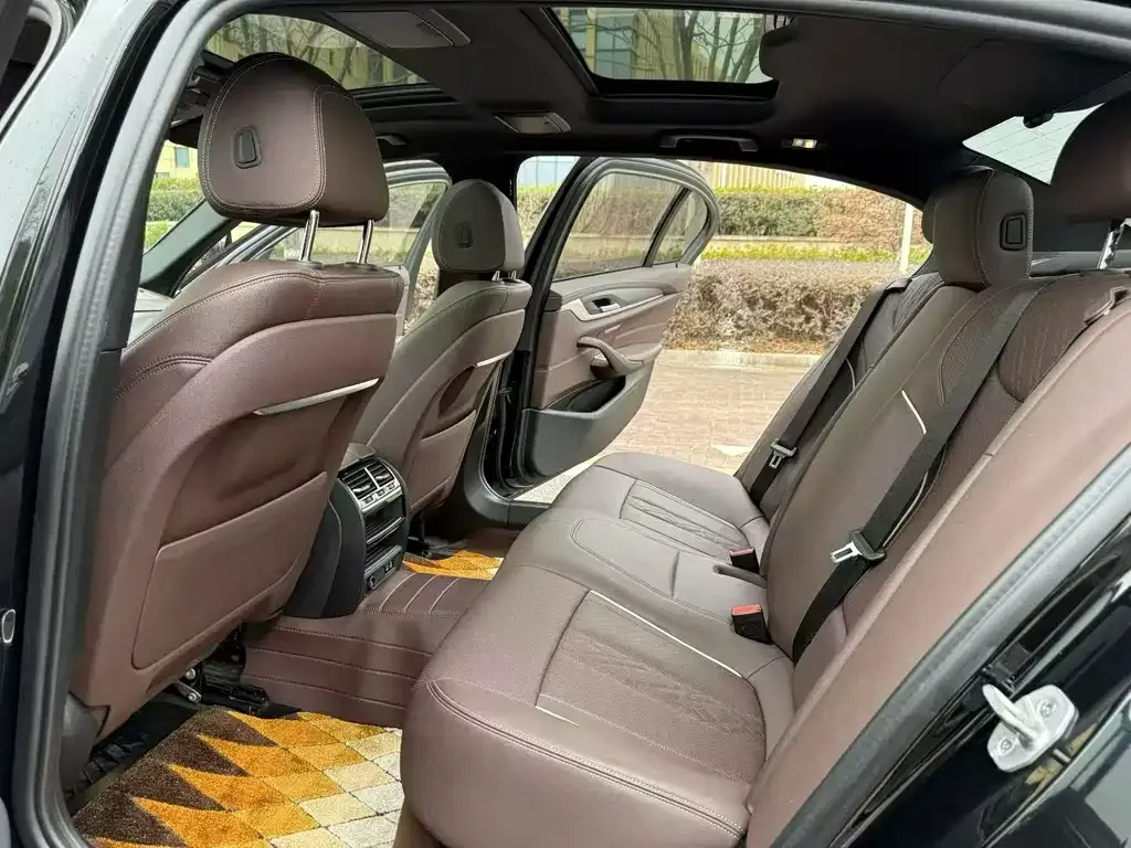 BMW 5 Series 2021 из CN, фото 8