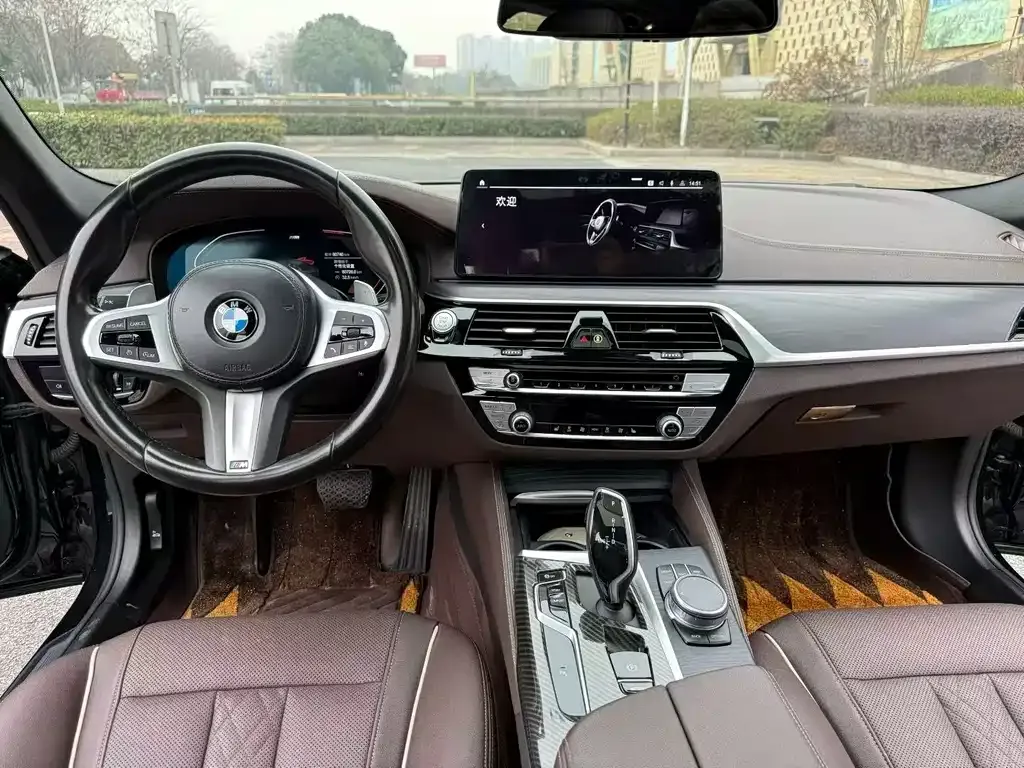 BMW 5 Series 2021 из CN, фото 5