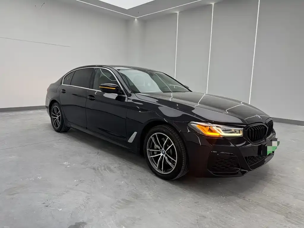 BMW 5 Series New Energy — фото 7